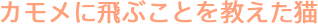 �ӂ���̃C�[�_